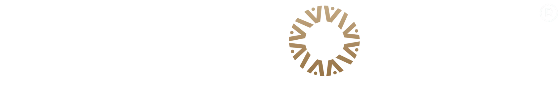 Ancora Group — retail property specialists